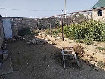 binə savxozda torpaq: Kənd təsərrüfatı — 1