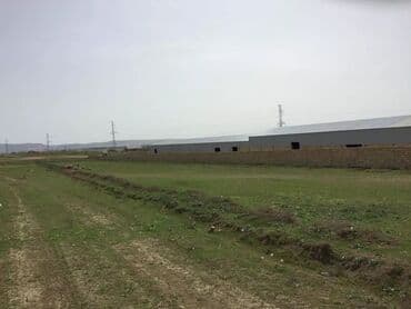 тап аз недвижимость: Tikinti — 12