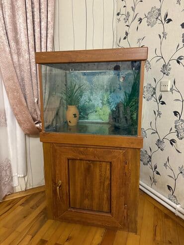 купить аквариум в баку: Akvariumlar boyuk-400.Balaca-300 — 5