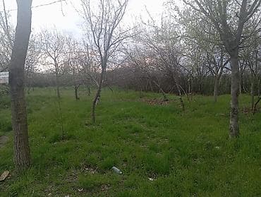 bilgeh bag evi: Biznes üçün, Mülkiyyətçi, Kupça (Çıxarış) — 3