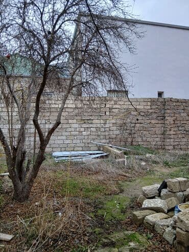 Mənzillər: 3 sot, Tikinti, Mülkiyyətçi, Kupça (Çıxarış) — 7