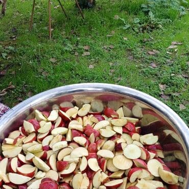 Turşular: Məhsul: Təbii alma sirkəsi Təsvir: - Şəkildəki bağdan yığılmış — 4