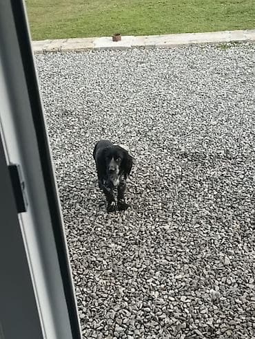 it parodaları: Quw.iti — 2