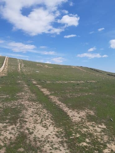 baku electronics xacmaz: 80 sot, Kənd təsərrüfatı, Maklerlər narahat etməsin, Kupça (Çıxarış) — 7