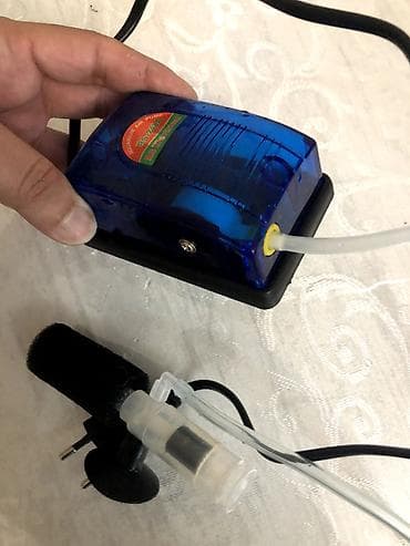 heyvanların sexsi: Akvarium üçün hava kompressoru satıram. 1 çıxışı var. Az işlətmişəm — 1