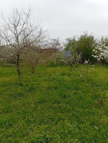 1 otaqli kiraye evler 2018: Шабран, 18 м², 2 комнаты, Без бассейна, Электричество — 4