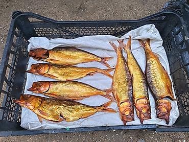 mələk tortu: Məhsul: Tütsülənmiş balıq Təsvir: - Qızılı rəngli, bütöv şəkildə — 3