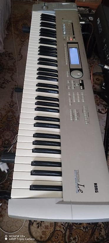 Sintezator, Korg, İşlənmiş