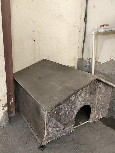 pişiy yuvası: Taxta pişik evi – 2 ədəd ikisi birlikdə 50 azn Məhsul təsviri: - — 4