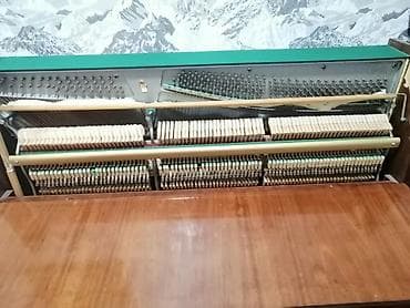 piano belarus: Piano, Belarus, Akustik — 1