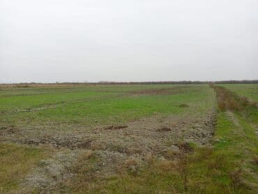 sarayda torpaq satışı: 750 sot, Kənd təsərrüfatı, Kupça (Çıxarış) — 5