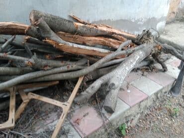 odun kesen mator: Kürə üçün odun — 2