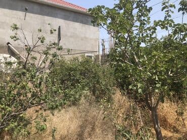 аренда помещений под бар: Sulutepe hokmeli musviq yolhn usdu nubar qesebesi yola coxx yaxin… ana — 13