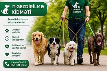 təcili iş: Egər itinizi gezdirmek lazımdır ve sizin vaxtınız yoxdursa Bakı — 1
