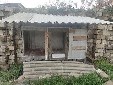 dovsan satilir: Satıram kredit mümkündür 4 dənə klipka — 4