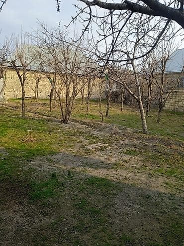 Mənzillər: 10 sot, Kənd təsərrüfatı, Mülkiyyətçi, Kupça (Çıxarış) — 2