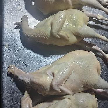 Qaz: Məhsul: Təmizlənmiş bildirçin ətləri - Tam təmizlənmiş, lələk və — 2