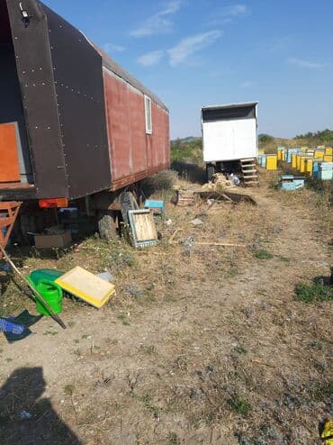 Akvariumlar: Köçəri arıçılıq üçün treylerlər və arıxana kompleksləri Məhsul — 5