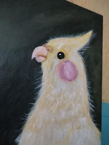 gözel profil sekilleri: Akril tablo – nimfa tutuquşusu portreti ketan tablodan hazırlanıp — 1