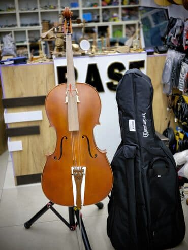 skripkalar: Çello Dominguez Matte Rast musiqi alətləri mağazalar şəbəkəsi 3 — 1