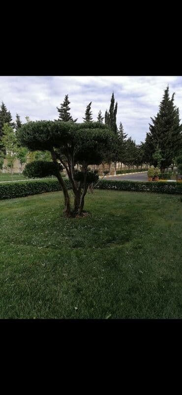 работа уборщицы на неполный рабочий день: Salam aleykum Adim Sahib 44yaşim var Bakıda yaşayiram Baki etrafi — 11