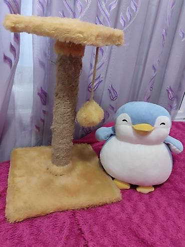 pişik qovan aparat: Pişik üçün tirma və oyun stanoku - Material: sisal iplə bərkidilmiş — 6