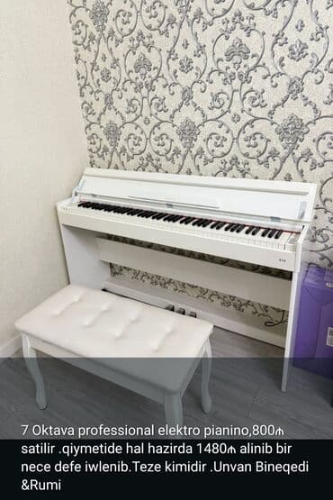 аксессуары для акустической гитары: Digər musiqi alətləri — 1