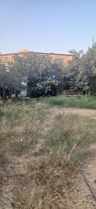 Mənzillər: 4 sot, Tikinti, Maklerlər narahat etməsin, Kupça (Çıxarış), Texniki pasport — 5