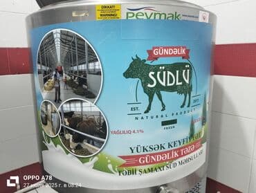 Qaymaq: Təbii Şamaxı süd məhsulları olan qatıq təklif olunur. Bu qatıq "Südlü" — 6