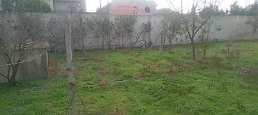 abyekt satilir: 4 sot, Tikinti, Makler, Kupça (Çıxarış) — 2