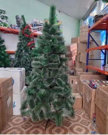 yolka ağacları: Yolka — 1