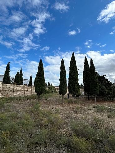 zirede torpaq: 24 sot, Tikinti, Mülkiyyətçi, Kupça (Çıxarış) — 1