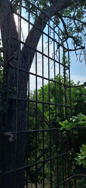 купить чехлы на авто: Ford Tranzit, Ünvandan götürmə — 3