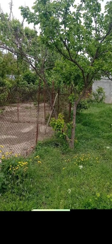 agdas ev: 9 sot, Tikinti, Mülkiyyətçi, Kupça (Çıxarış) — 14