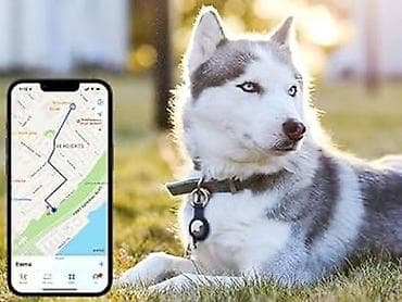 🐶🐱 İt və pişiklər üçün GPS izləmə cihazı Sevimli dostunuzun yerini — 1