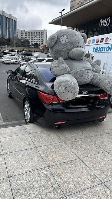 Salam. Teddy Mişkasıdır. Boyu 2.20metr. Hədiyyə alınıb verııməyib