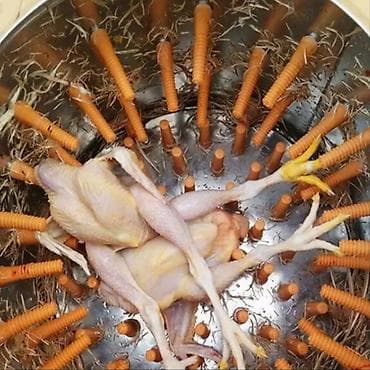 Qarışdırıcısız lələksoyma maşını – toyuq, ördək, qaz, hind toyuğu və — 2