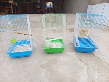 Qus qefesleri 2goy reng de 1yasil rengde var trmiz seliqəlidi yem