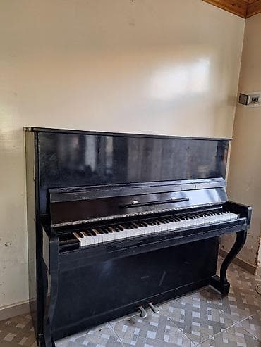 idman və hobbi: Piano, Akustik, İşlənmiş — 5