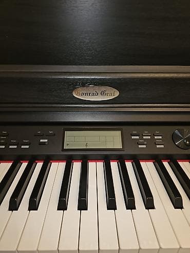 boss ph 3: Piano, Rəqəmsal — 2