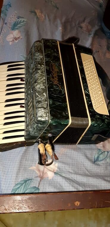 uşaq akkordeonu: Akustik Akkordeon — 1