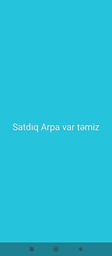 Arpa satılır Şamaxı 50q istəyən zəng etsin lalafo.az -da Arpa satılır Şamaxı 50q istəyən zəng etsin