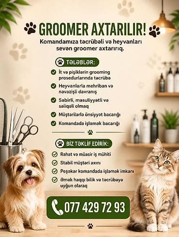 Groomer axtarılır! Komandamıza təcrübəli və heyvanları sevən groomer