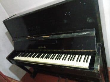 купить пианино бу: Klassik qara rəngdə piano. Alət qara korpusda ağ və qara royal — 2