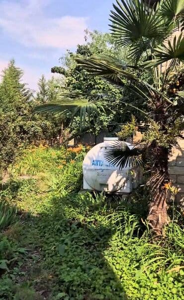 şekide ayliq kiraye evler: 4 otaqlı, 700 kv. m, Kredit yoxdur, Təmirsiz — 8