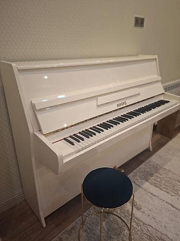 İdman və hobbi: Piano, Akkord, Akustik — 3