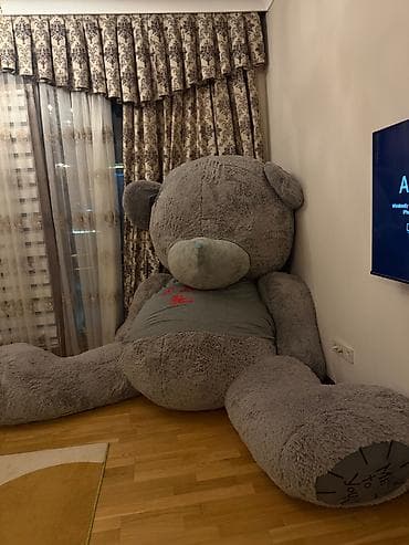 Yumşaq oyuncaqlar: Teddy Yeni kimidir, 20 gün öncə Sədərəkdən alınıb. 4 m hündürlüyü — 1