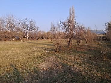 cefer xendan kucesi: 25 sot, Mülkiyyətçi — 10