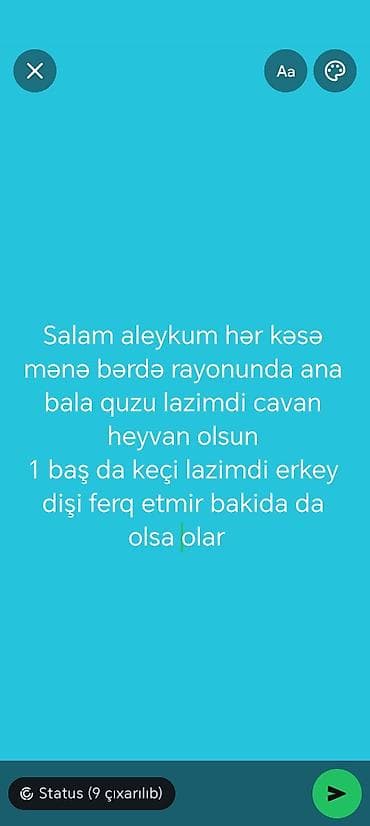 Akvariumlar: Bərdə rayonunda ana bala quzu (cavan heyvan olsun) - Üstəlik 1 baş — 1