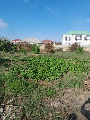 ramani torpaq satisi: 10 sot, Tikinti, Mülkiyyətçi, Kupça (Çıxarış) — 8